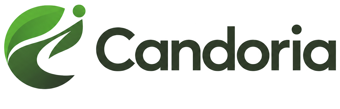 01-logo-principal-horizontal-transparent